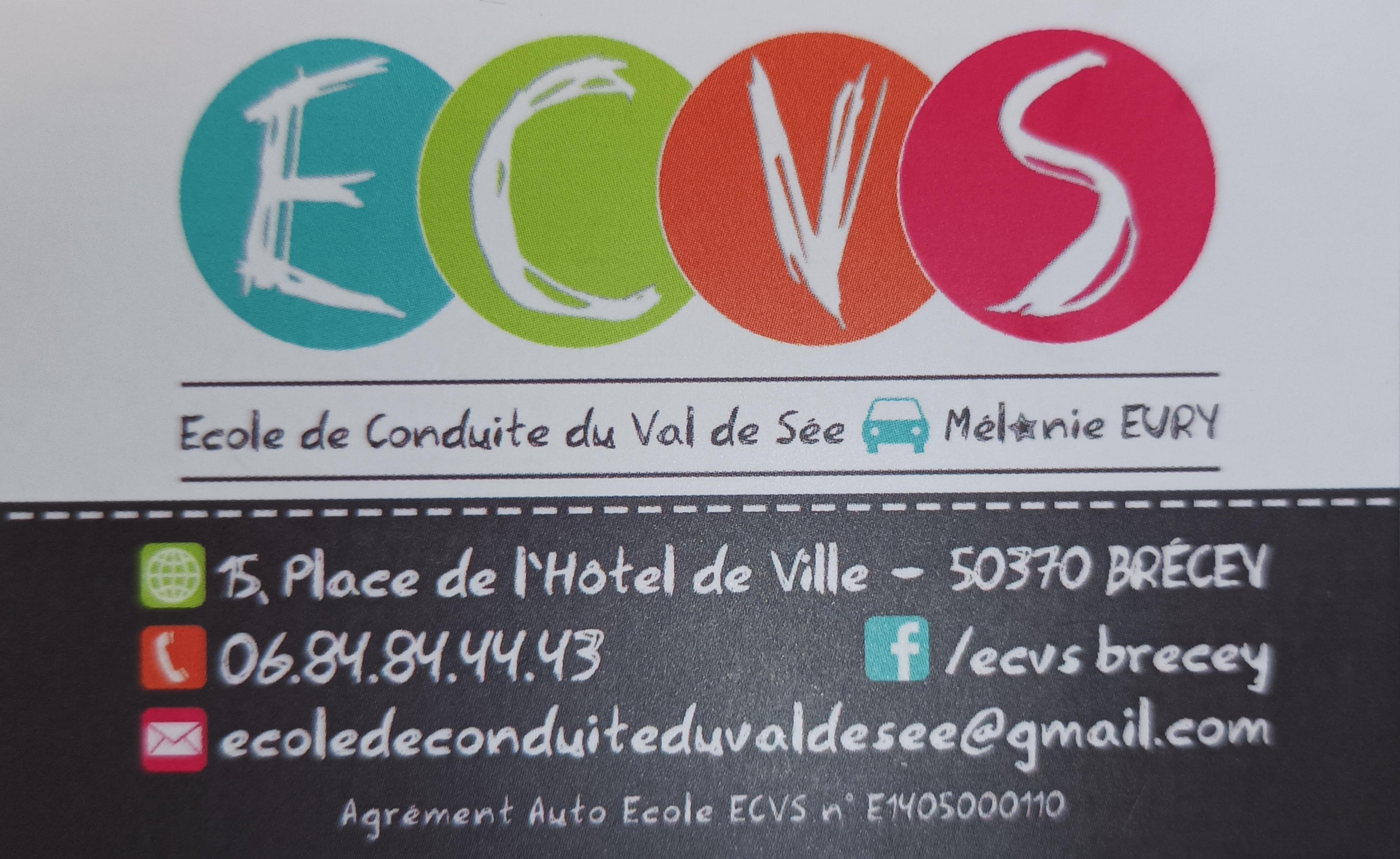 ECVS